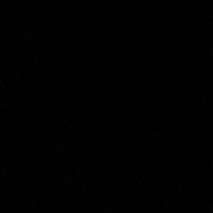 Meet your Posher, Leonardo